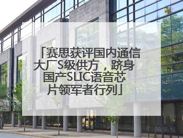 赛思获评国内通信大厂S级供方，跻身国产SLIC语音芯片领军者行列