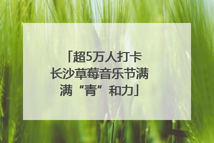 超5万人打卡 长沙草莓音乐节满满“青”和力