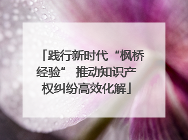 践行新时代“枫桥经验” 推动知识产权纠纷高效化解