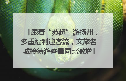 跟着“苏超”游扬州，多重福利迎客流，文旅名城接待游客量同比激增