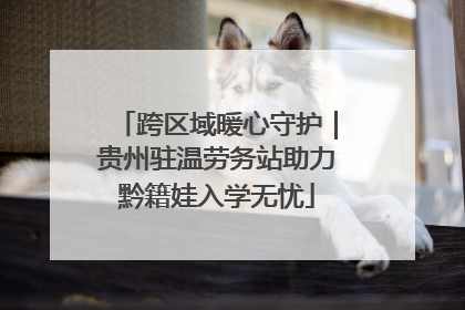 跨区域暖心守护｜贵州驻温劳务站助力黔籍娃入学无忧