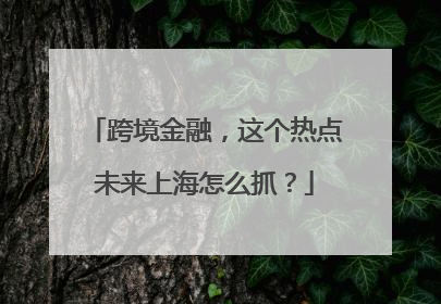 跨境金融，这个热点未来上海怎么抓？