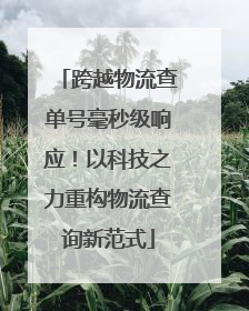 跨越物流查单号毫秒级响应！以科技之力重构物流查询新范式