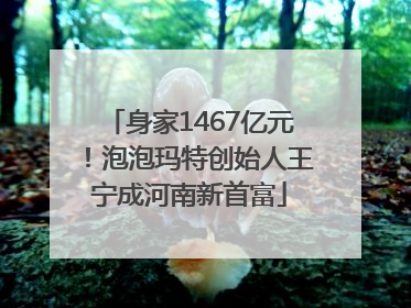 身家1467亿元！泡泡玛特创始人王宁成河南新首富