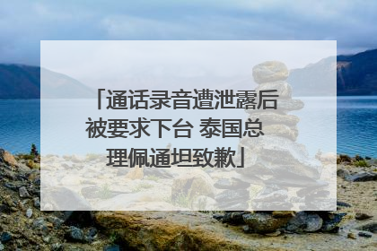 通话录音遭泄露后被要求下台 泰国总理佩通坦致歉