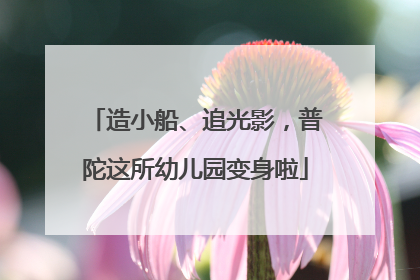 造小船、追光影，普陀这所幼儿园变身啦