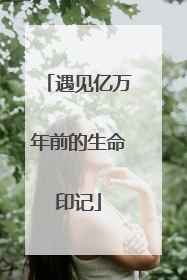 遇见亿万年前的生命印记