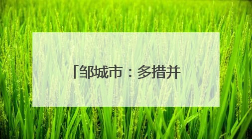邹城市：多措并举以数据赋能绿色低碳高质量政务服务新模式