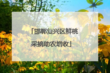 邯郸复兴区鲜桃采摘助农增收