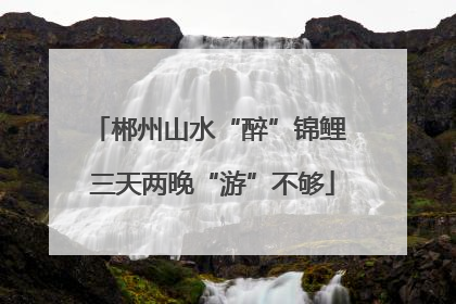 郴州山水“醉”锦鲤 三天两晚“游”不够