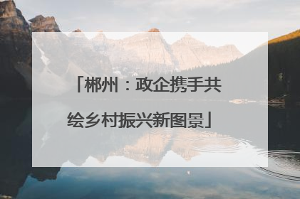 郴州：政企携手共绘乡村振兴新图景