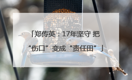 郑传英：17年坚守 把“伤口”变成“责任田”