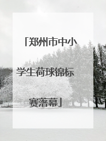 郑州市中小学生荷球锦标赛落幕
