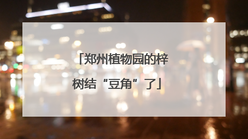 郑州植物园的梓树结“豆角”了