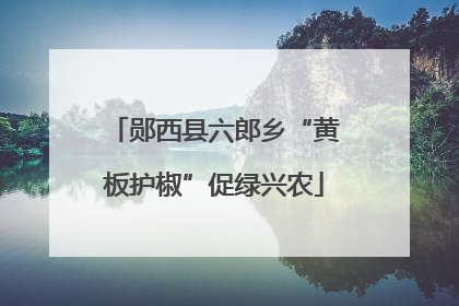 郧西县六郎乡“黄板护椒”促绿兴农