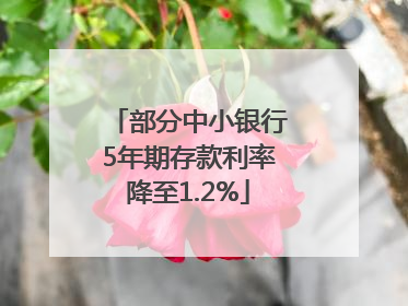 部分中小银行5年期存款利率降至1.2%