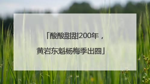 酸酸甜甜200年，黄岩东魁杨梅季出圈
