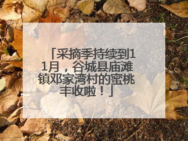 采摘季持续到11月，谷城县庙滩镇邓家湾村的蜜桃丰收啦！