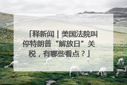 释新闻｜美国法院叫停特朗普“解放日”关税，有哪些看点？