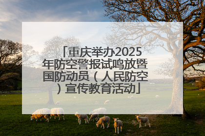重庆举办2025年防空警报试鸣放暨国防动员（人民防空）宣传教育活动