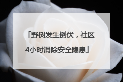 野树发生倒伏，社区4小时消除安全隐患