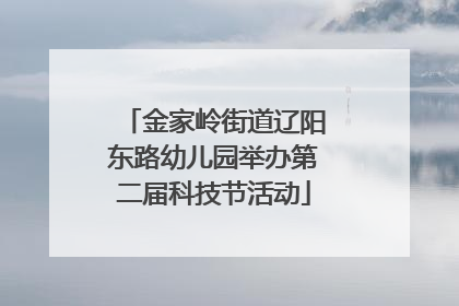 金家岭街道辽阳东路幼儿园举办第二届科技节活动