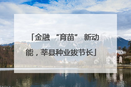 金融 “育苗” 新动能，莘县种业拔节长