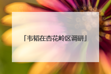 韦韬在杏花岭区调研