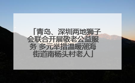 青岛、深圳两地狮子会联合开展敬老公益服务 多元举措温暖潮海街道南杨头村老人