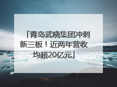 青岛武晓集团冲刺新三板！近两年营收均超20亿元