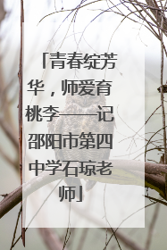 青春绽芳华，师爱育桃李——记邵阳市第四中学石琼老师