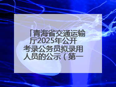 青海省交通运输厅2025年公开考录公务员拟录用人员的公示（第一批次）