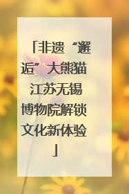非遗“邂逅”大熊猫 江苏无锡博物院解锁文化新体验