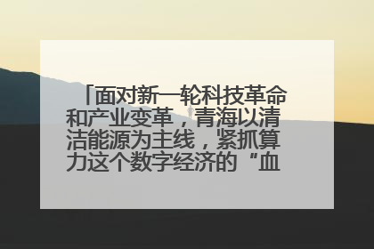 面对新一轮科技革命和产业变革，青海以清洁能源为主线，紧抓算力这个数字经济的“血液”、科技主权的“筹码”、产业升级的“杠杆”、绿色转型的“支点”，勇于撬动国家“双碳”战略、“东数西算”工程重大发展新机遇