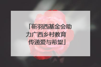 靳羽西基金会助力广西乡村教育 传递爱与希望