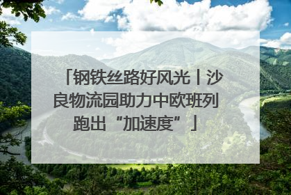 钢铁丝路好风光丨沙良物流园助力中欧班列跑出“加速度”