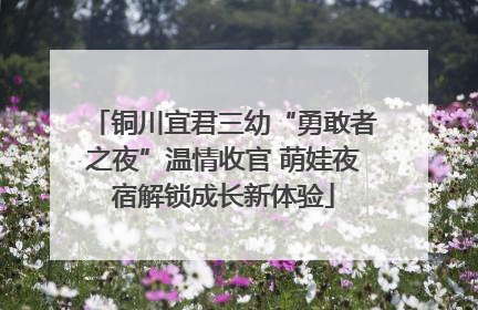 铜川宜君三幼“勇敢者之夜”温情收官 萌娃夜宿解锁成长新体验