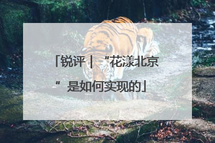 锐评｜“花漾北京”是如何实现的
