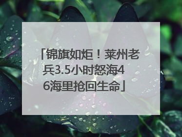 锦旗如炬！莱州老兵3.5小时怒海46海里抢回生命