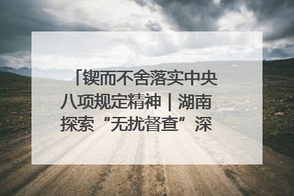 锲而不舍落实中央八项规定精神｜湖南探索“无扰督查”深化基层减负
