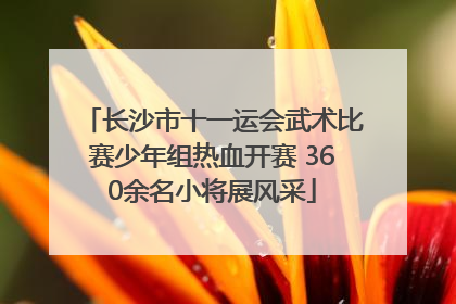 长沙市十一运会武术比赛少年组热血开赛 360余名小将展风采