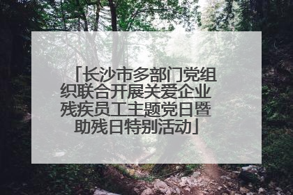 长沙市多部门党组织联合开展关爱企业残疾员工主题党日暨助残日特别活动
