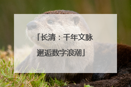 长清：千年文脉邂逅数字浪潮