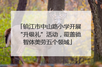 镇江市中山路小学开展“升级礼”活动，覆盖德智体美劳五个领域