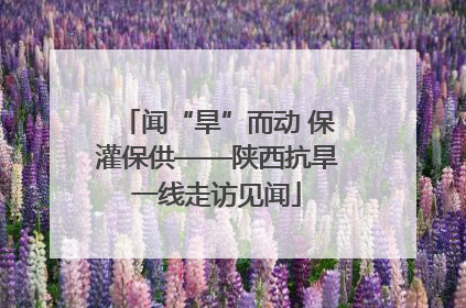 闻“旱”而动 保灌保供——陕西抗旱一线走访见闻