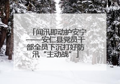 闻汛即动护安宁——安仁县党员干部全员下沉打好防汛“主动战”