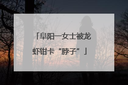 阜阳一女士被龙虾钳卡“脖子”