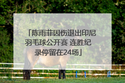 陈雨菲因伤退出印尼羽毛球公开赛 连胜纪录停留在24场