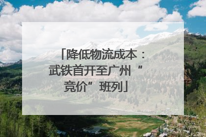 降低物流成本：武铁首开至广州“竞价”班列