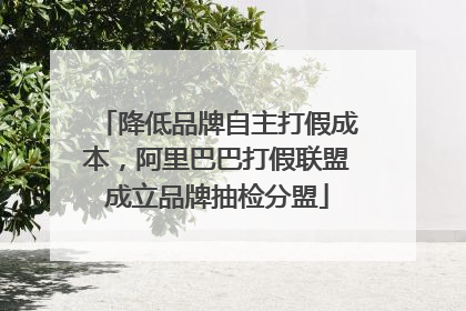 降低品牌自主打假成本，阿里巴巴打假联盟成立品牌抽检分盟